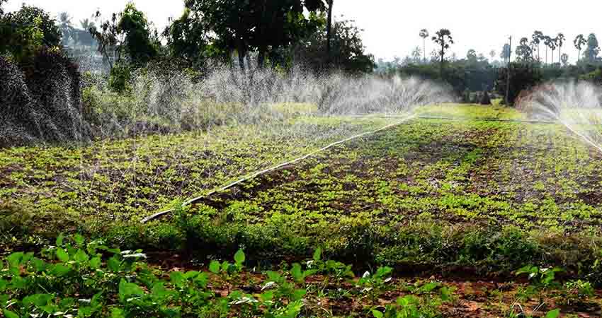 Irrigation – Modern Agriculture Solutions